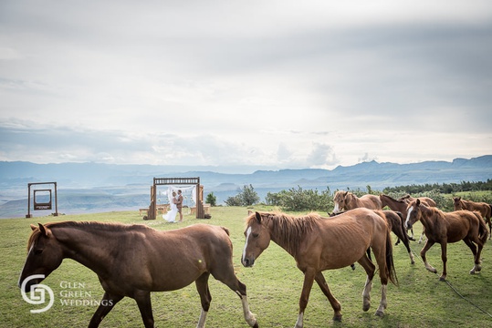 Horses At A Drakensberg Mountain Retreat Outdoor Wedding Ceremony