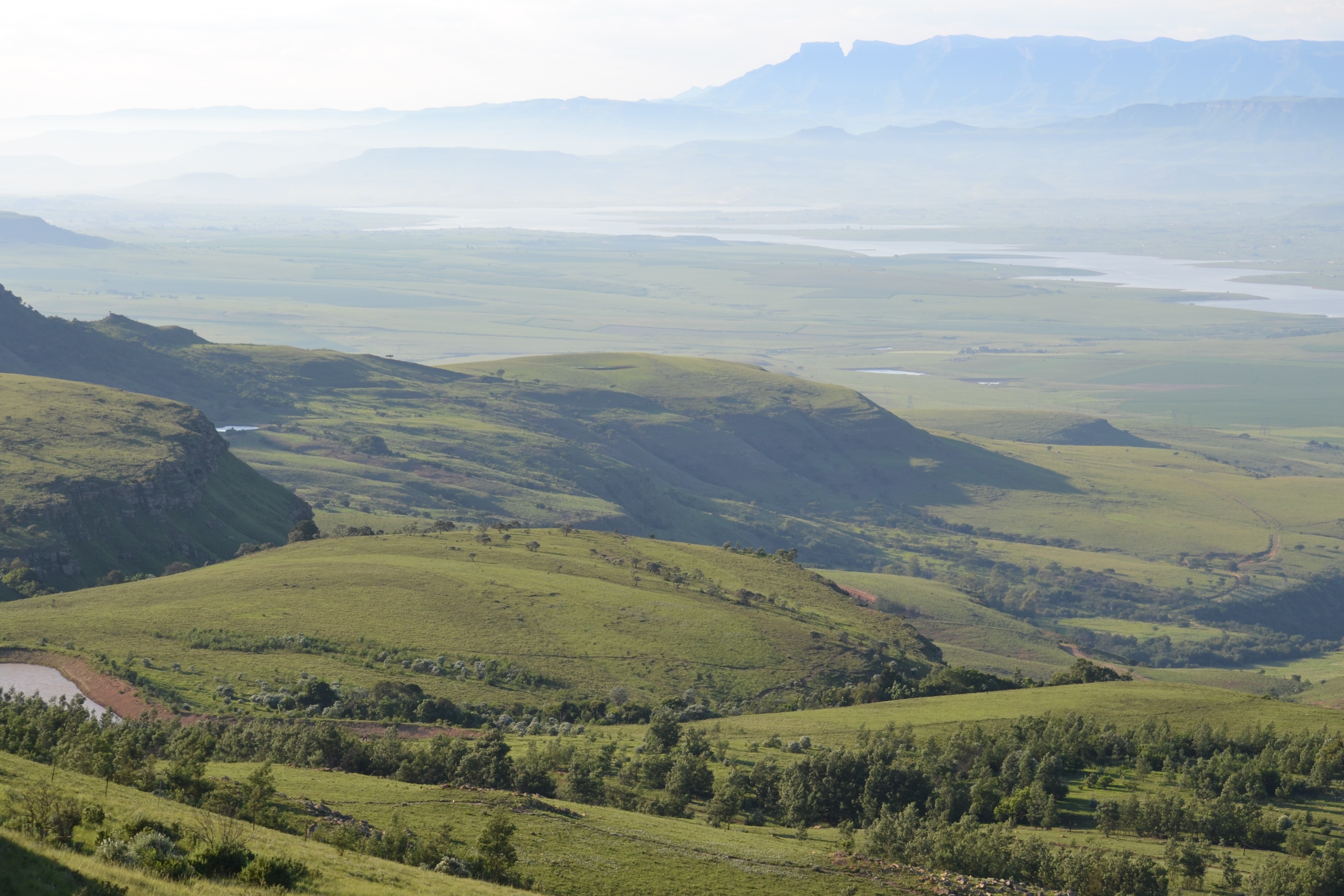 Drakensberg View