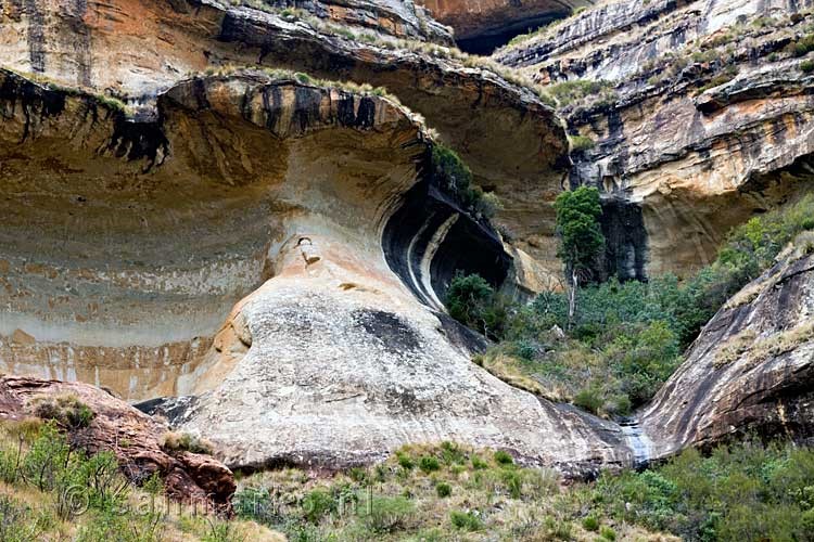 Golden Gate National Park