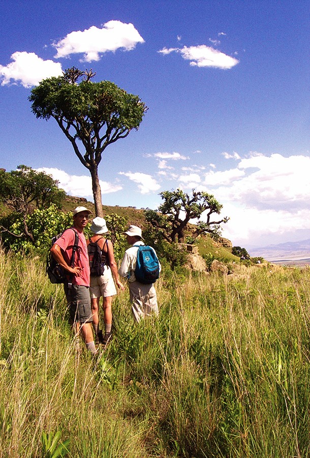 Hikers